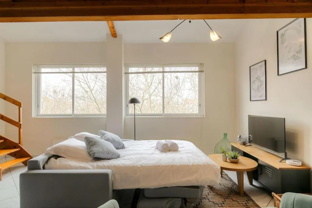 Loft Avec Mezzanine Au Coeur Du 3Eme, Lyon Apartment