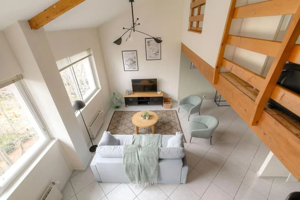 Loft Avec Mezzanine Au Coeur Du 3Eme, Lyon Apartment
